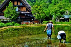 0114-Shirakawago-001