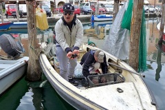 Chioggia-01