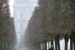 Paris-1er-Jardin-des-Tuileries-02