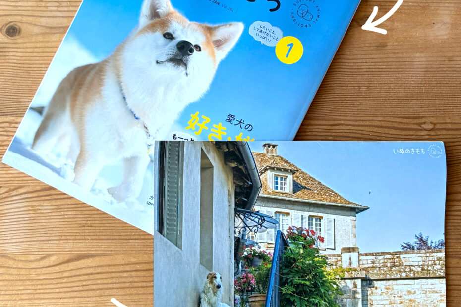 雑誌『いぬのきもち』１月号付録-写真作家／田中淳カレンダー
